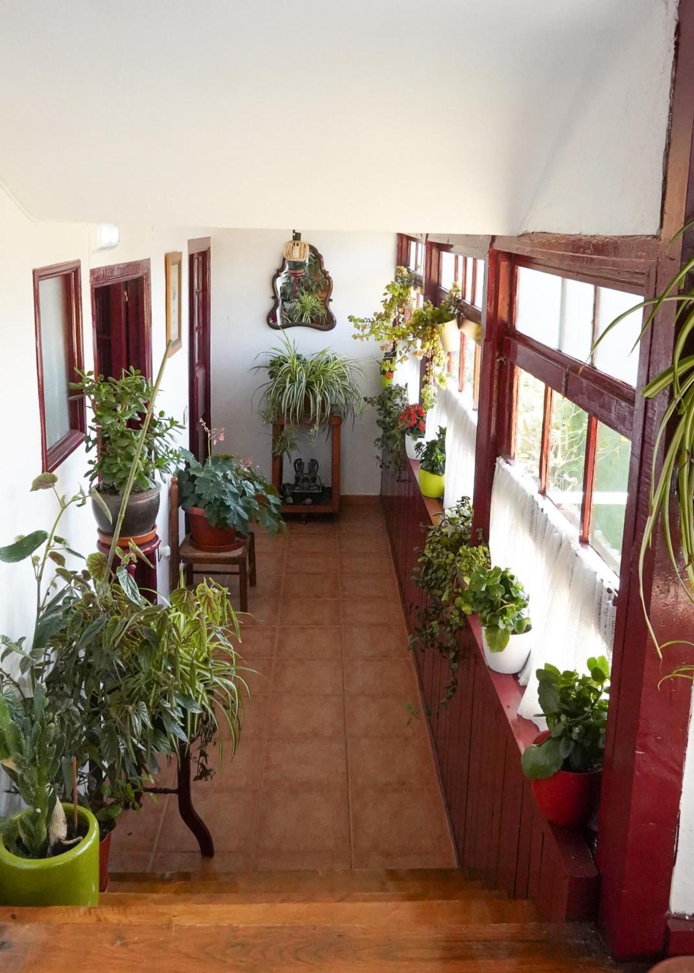 La Casona De Faedo Pension酒店 外观 照片
