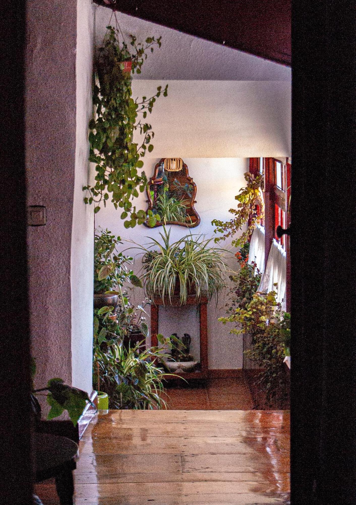 La Casona De Faedo Pension酒店 外观 照片